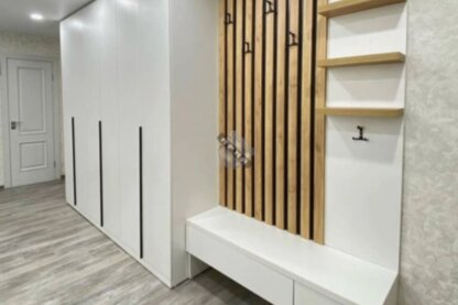 Распашной Шкаф Ария79 (с элементом прихожей)